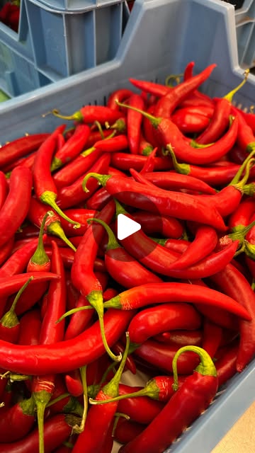 Instagram-video voor Made's Warung Amsterdam: sambal maken behind the scenes, 28K weergaven